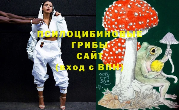 дживик Корсаков