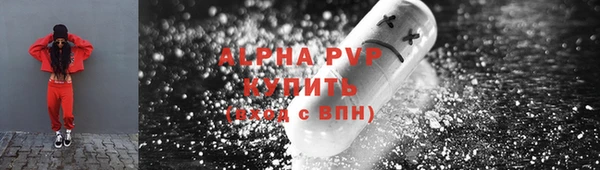 дживик Корсаков