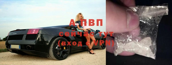 дживик Корсаков
