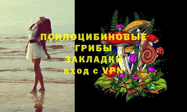 дживик Корсаков