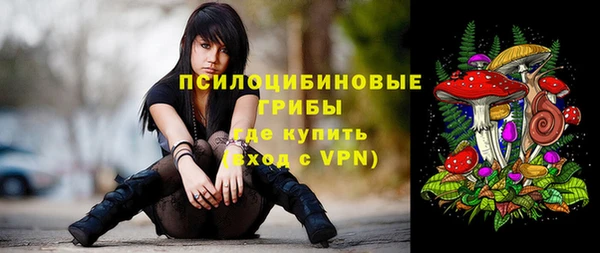 дживик Корсаков