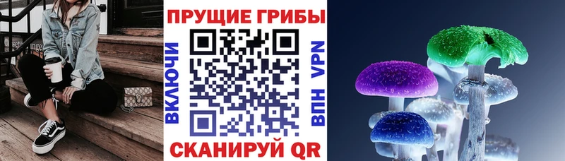 Псилоцибиновые грибы Psilocybine cubensis  omg tor  Киренск 