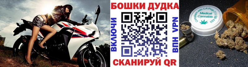 Бошки марихуана THC 21%  дарнет шоп  Киренск 